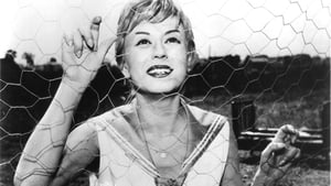 Nights of Cabiria