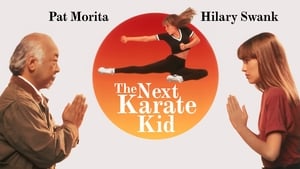 The Next Karate Kid