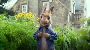 Peter Rabbit