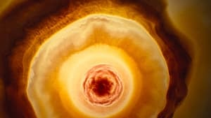 Voyage of Time: Life's Journey