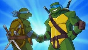 Turtles Forever