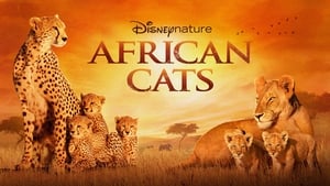 African Cats