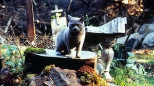 Pet Sematary