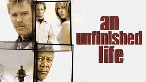 An Unfinished Life