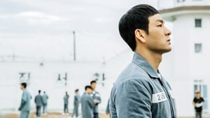 Prison Playbook