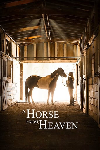 دانلود فیلم A Horse from Heaven 2018 (اسبی از بهشت)