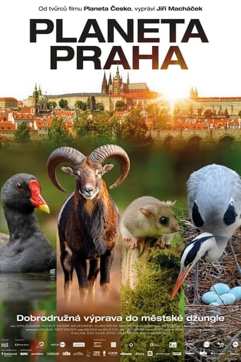 دانلود فیلم Wild Prague 2022