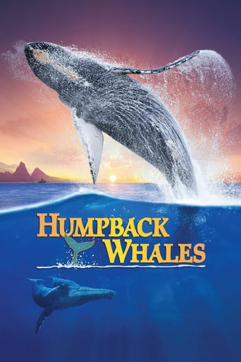 دانلود فیلم Humpback Whales 2015