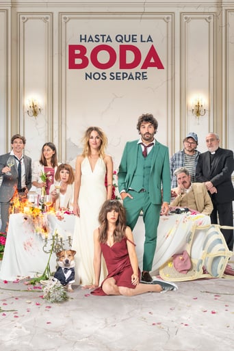 دانلود فیلم The Wedding Unplanner 2020 (تا عروسی ما را جدا کند)