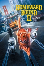 دانلود فیلم Homeward Bound II: Lost in San Francisco 1996