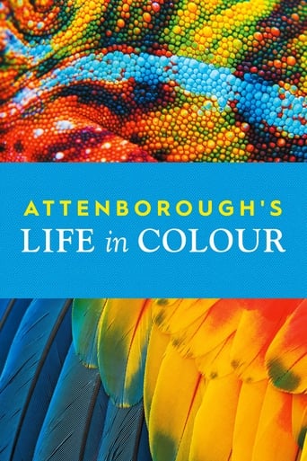 دانلود سریال Attenborough's Life in Colour 2021 (زندگی با رنگ)