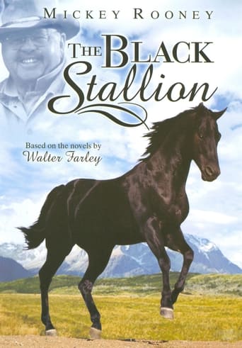 دانلود سریال The Adventures of the Black Stallion 1990