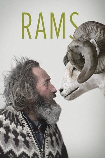 دانلود فیلم Rams 2015 (قوچ‌ها)