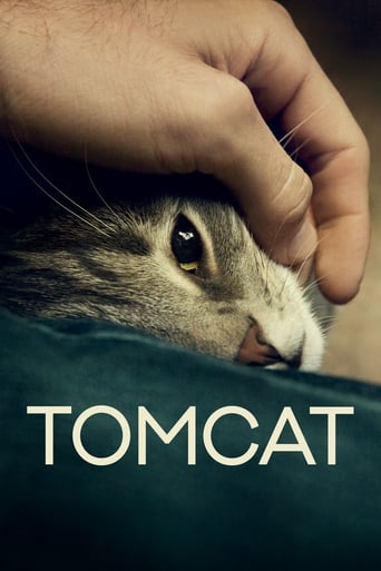 دانلود فیلم Tomcat 2016