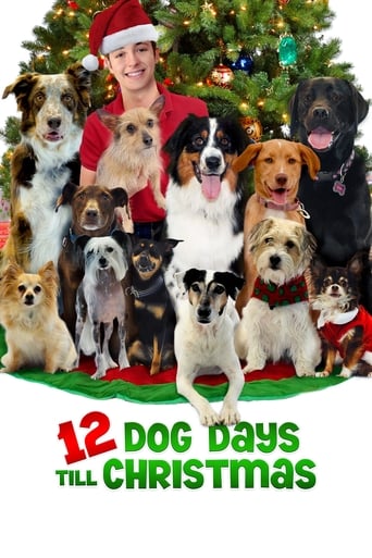 دانلود فیلم 12 Dog Days Till Christmas 2014