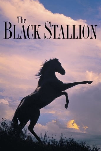 دانلود فیلم The Black Stallion 1979