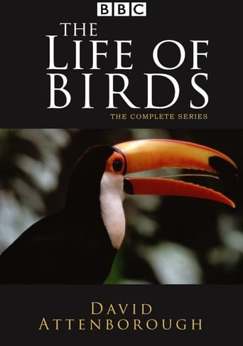 دانلود سریال The Life of Birds 1998